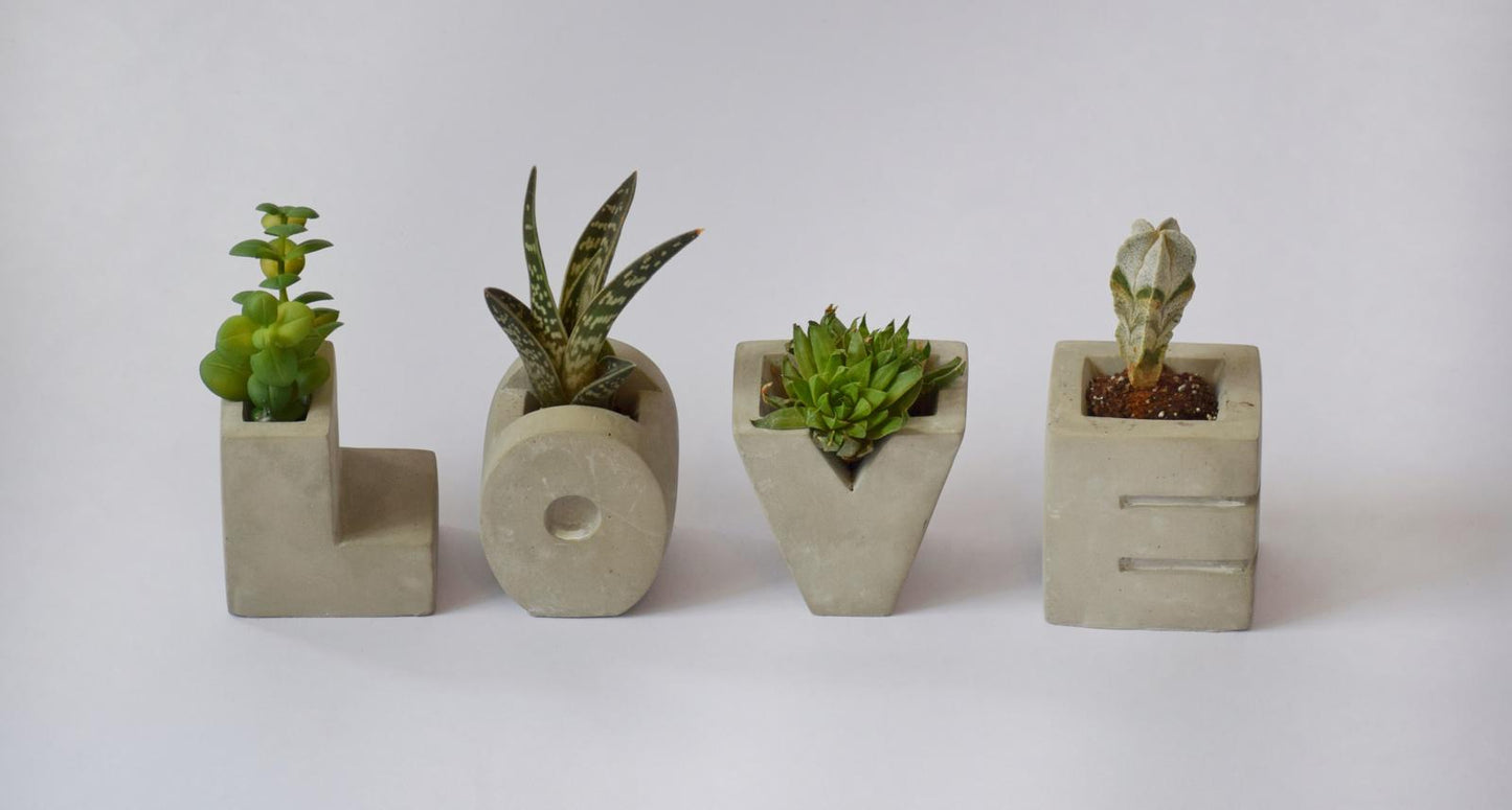 רביעיית עציצים "LOVE"