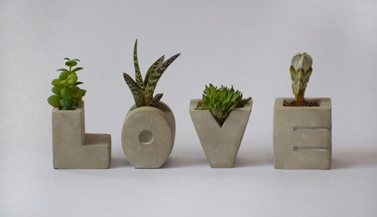 רביעיית עציצים "LOVE"